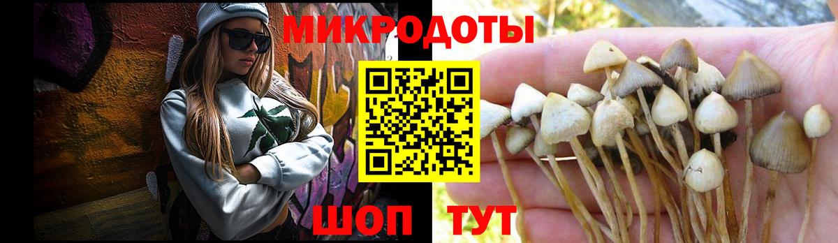 Галлюциногенные грибы Psilocybe  Вход с VPN  где можно купить наркотик  Знаменск  Галлюциногенные грибы мухоморы 