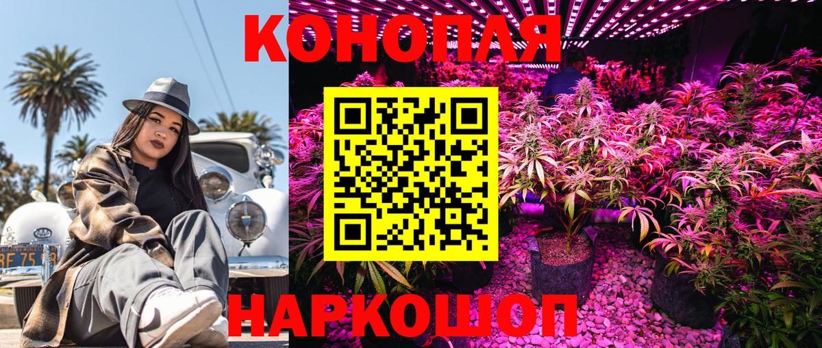 Бошки Шишки OG Kush Знаменск